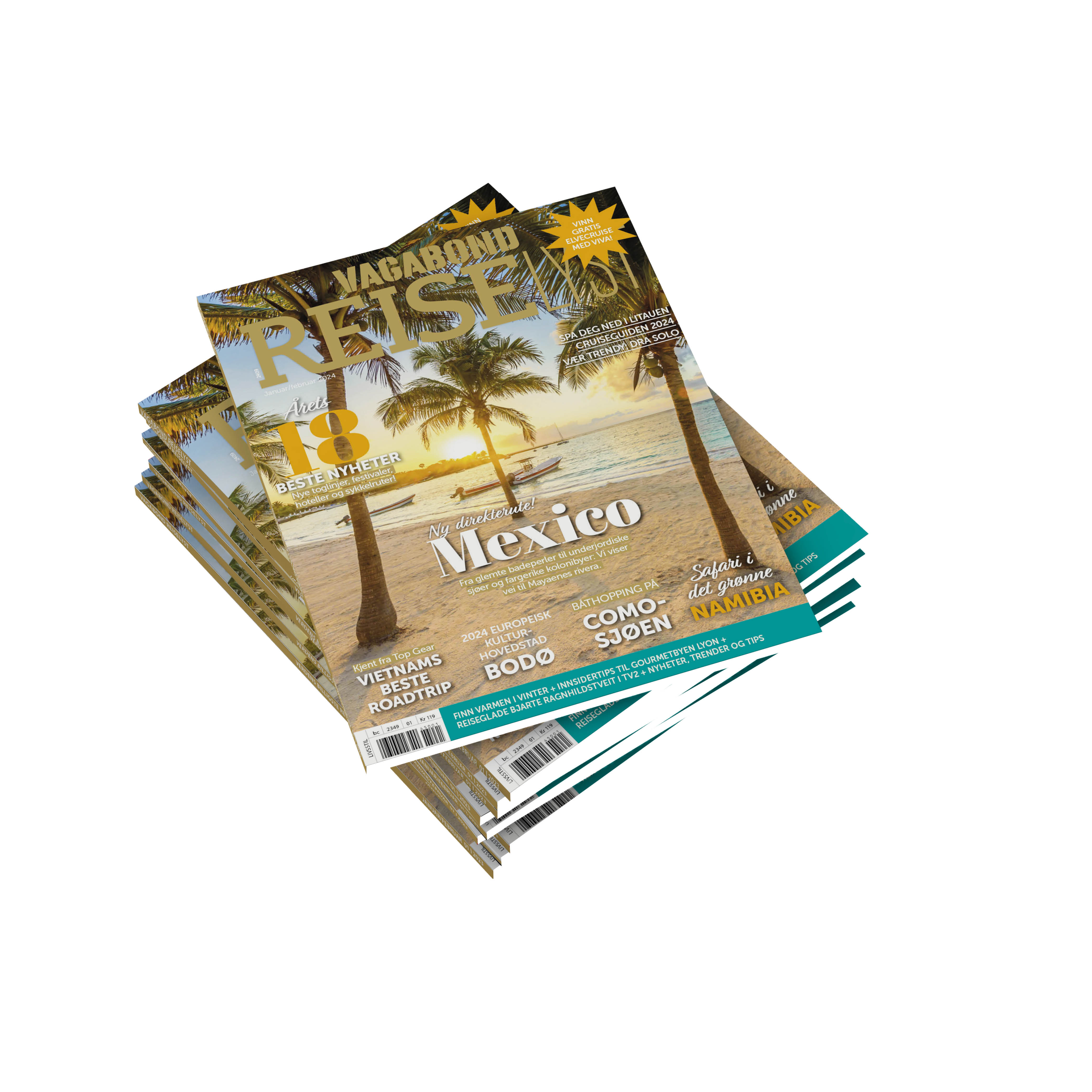 Print Subscription