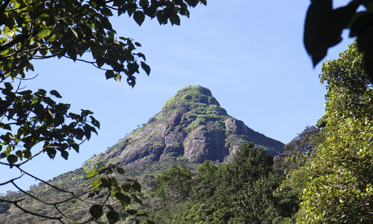 Hellig fottur på Sri Lanka